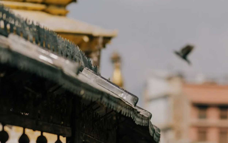 Blessings from the Roof of the World: Nepal Prayer Flags and their Blessing Power
