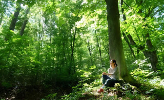  The Healing Power of Nature: Embracing Forest Therapy in Our Lives