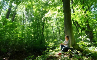  The Healing Power of Nature: Embracing Forest Therapy in Our Lives
