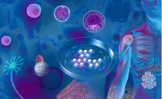 Guardians Within: Navigating the Intricacies of the Immune System