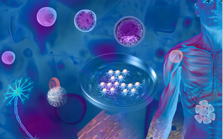 Guardians Within: Navigating the Intricacies of the Immune System