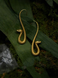 Daily Energy Boundary Earrings | Gold Snake Hook Style