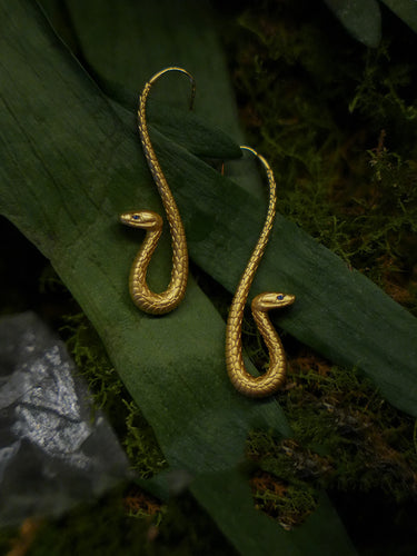Daily Energy Boundary Earrings | Gold Snake Hook Style